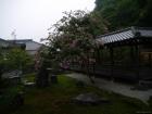 thumbs/20120930T121924_Japan.jpg