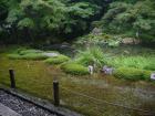 thumbs/20120930T123530_Japan.jpg