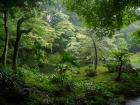 thumbs/20120930T123658_Japan.jpg