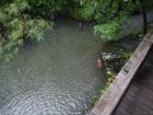 thumbs/20120930T132156_Japan.jpg