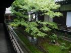 thumbs/20120930T132636_Japan.jpg