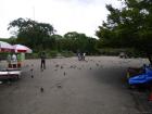thumbs/20121001T104016_Japan.jpg