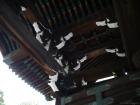thumbs/20121001T104452_Japan.jpg