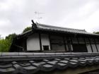 thumbs/20121001T110354_Japan.jpg