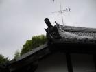 thumbs/20121001T110358_Japan.jpg