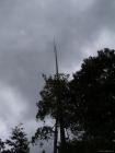 thumbs/20121001T113658_Japan.jpg
