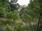 thumbs/20121001T114238_Japan.jpg