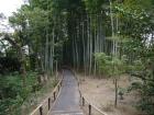 thumbs/20121001T114558_Japan.jpg