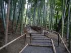 thumbs/20121001T114710_Japan.jpg