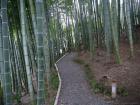 thumbs/20121001T114720_Japan.jpg