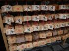 thumbs/20121001T131456_Japan.jpg