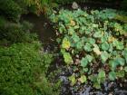 thumbs/20121001T140150_Japan.jpg