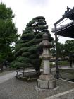 thumbs/20121001T140558_Japan.jpg