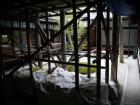thumbs/20121001T150508_Japan.jpg