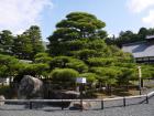 thumbs/20121007T100756_Japan.jpg