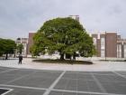 thumbs/20121007T113936_Japan.jpg