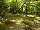 thumbs/20121007T124208_Japan.jpg