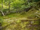 thumbs/20121007T124314_Japan.jpg