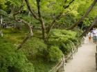 thumbs/20121007T124348_Japan.jpg