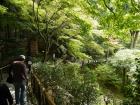 thumbs/20121007T125244_Japan.jpg