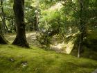 thumbs/20121007T125332_Japan.jpg