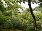 thumbs/20121007T125358_Japan.jpg