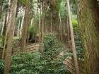 thumbs/20121007T125440_Japan.jpg