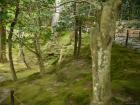 thumbs/20121007T125542_Japan.jpg