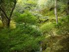 thumbs/20121007T125556_Japan.jpg