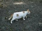 thumbs/20121007T141942_Japan.jpg
