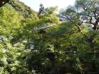 thumbs/20121007T144440_Japan.jpg