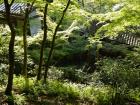 thumbs/20121007T145850_Japan.jpg