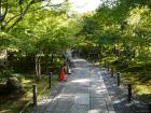 thumbs/20121007T150426_Japan.jpg