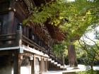 thumbs/20121007T150520_Japan.jpg