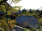 thumbs/20121007T150626_Japan.jpg