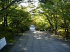 thumbs/20121007T151536_Japan.jpg