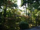 thumbs/20121007T152628_Japan.jpg