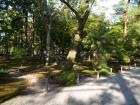 thumbs/20121007T153604_Japan.jpg