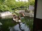 thumbs/20121008T110428_Japan.jpg