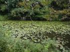 thumbs/20121008T130824_Japan.jpg