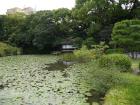 thumbs/20121008T131146_Japan.jpg