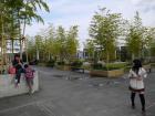 thumbs/20121008T153332_Japan.jpg