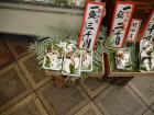 thumbs/20121009T131608_Japan.jpg