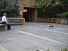 thumbs/20121011T115430_Japan.jpg