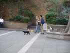 thumbs/20121011T115440_Japan.jpg