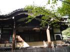 thumbs/20121011T144952_Japan.jpg
