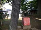 thumbs/20121011T145504_Japan.jpg