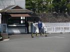 thumbs/20121017T094036_Japan.jpg