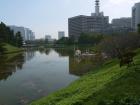 thumbs/20121017T101126_Japan.jpg