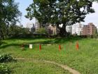 thumbs/20121017T104752_Japan.jpg